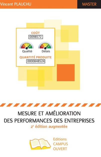 Mesure et amélioration des performances des entreprises: (2e édition augmentée) by Vincent Plauchu