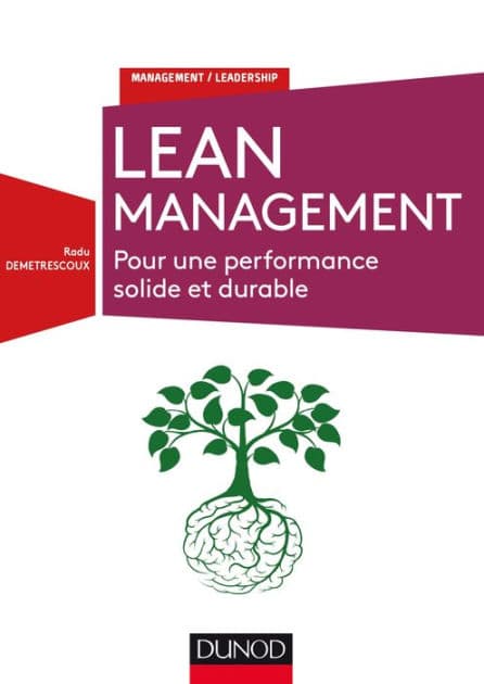 Lean Management: Pour une performance solide et durable by Radu Demetrescoux