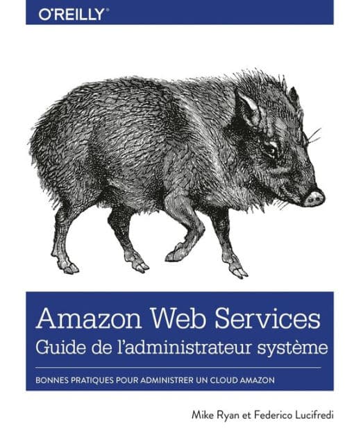Amazon Web Services Guide de l'administrateur système by Federico Lucifredi