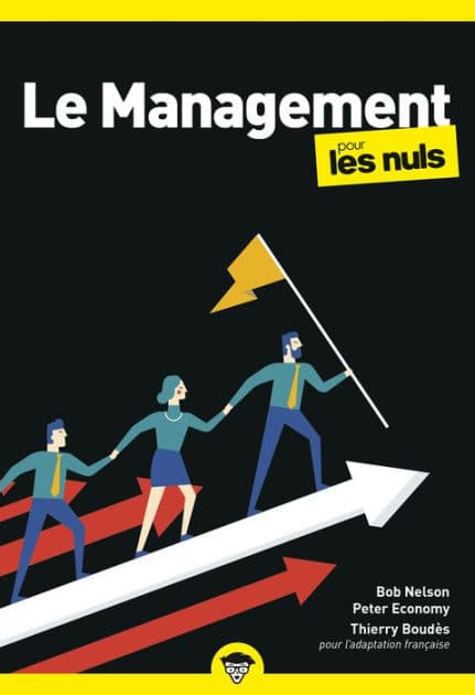 Le management pour les Nuls : Livre de management, Apprendre à diriger les autres et se diriger soi-même efficacement, Manager son équipe au quotidien et développer son leadership by Thierry Boudès