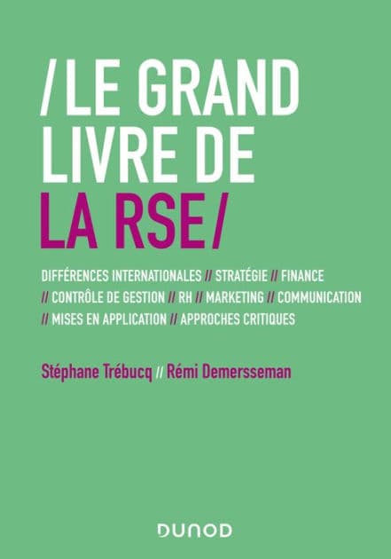 Le Grand Livre de la RSE: Différences internationales // Stratégie // Finance // contrôle de gestion // RH // Marketing... by Stéphane Trébucq