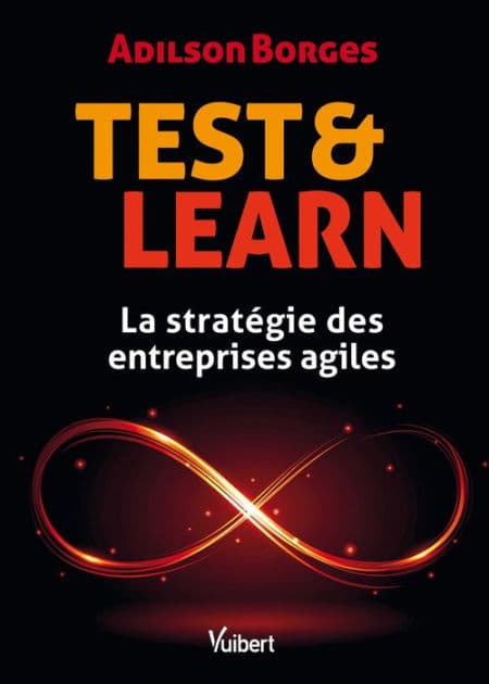 Test & Learn : La stratégie des entreprises agiles: La stratégie des entreprises agiles by Adilson Borges