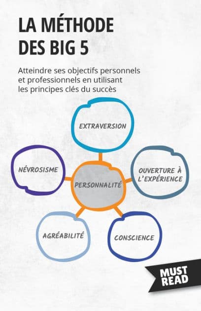La méthode des Big 5: Atteindre ses objectifs personnels et professionnels en utilisant les principes clés du succès by Peter Lanore