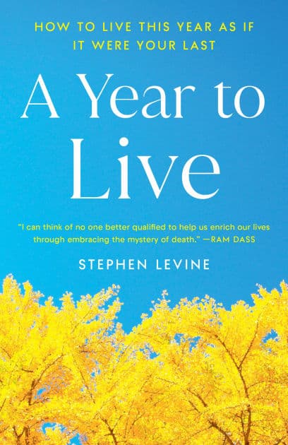 A Year to Live: How to Live This Year as if It Were Your Last by Stephen Levine