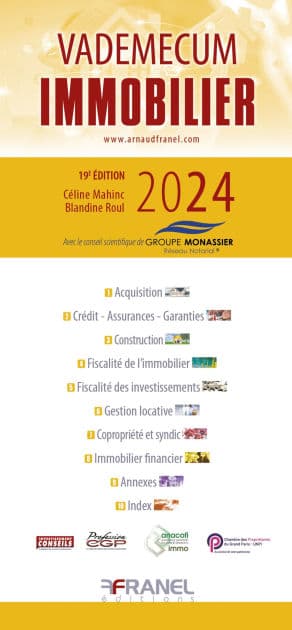 Vademecum de l'immobilier: 19e édition by Céline Mahinc