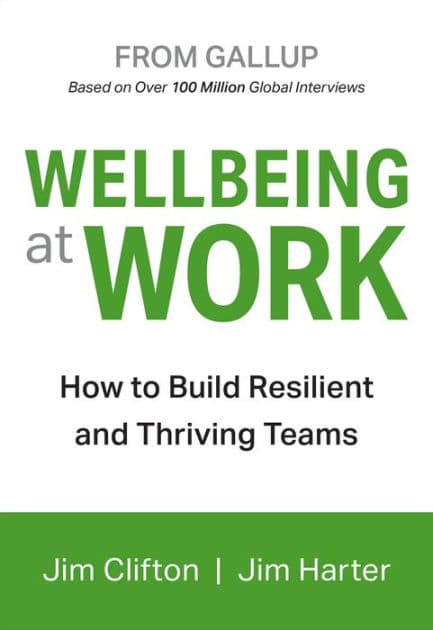 Wellbeing at Work: How to Build Resilient and Thriving Teams by Jim Clifton