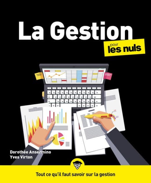 La gestion pour les Nuls : Livre de gestion, Découvrir les bases de la gestion, Devenir un gestionnaire averti grâce aux bases de la finance d'entreprise, du contrôle de gestion et du budget by Dorothée Ansermino