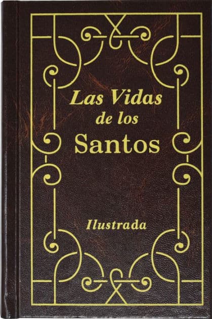 Las Vidas De Los Santos by H. Hoever