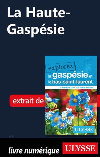 La Haute-Gaspésie by Ouvrage Collectif