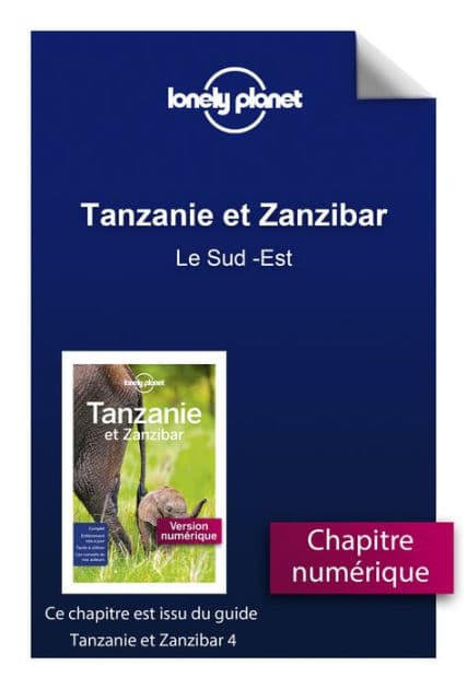 Tanzanie et Zanzibar 4ed - Le Sud-Est by Lonely Planet