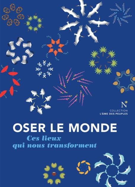 Oser le monde: Ces lieux qui nous transforment by Richard Werly