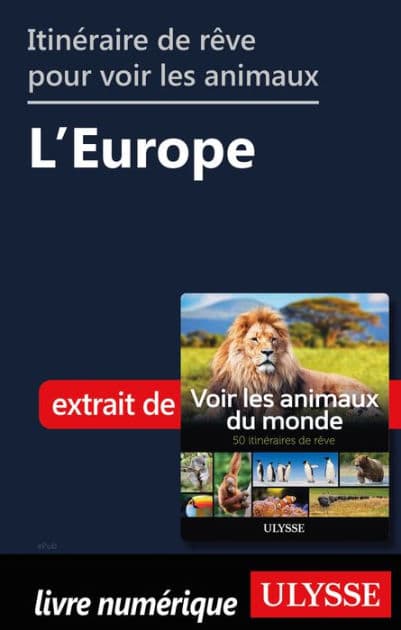 Itinéraires de rêve pour voir les animaux - L'Europe by Ariane Arpin-Delorme