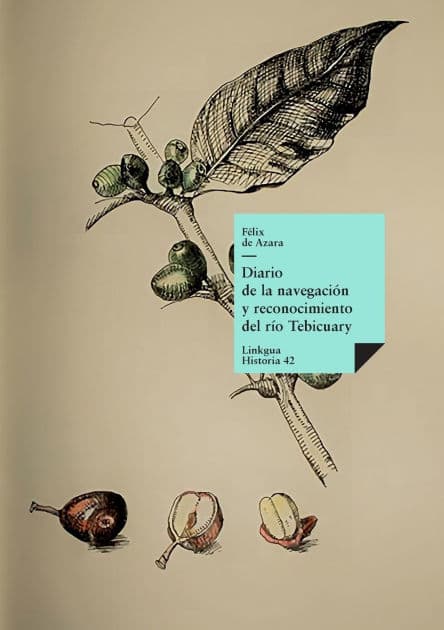 Diario de la navegación y reconocimiento del río Tebicuary by Fïlix de Azara