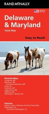 Delaware/Maryland Easy to Read State Map by Rand McNally
