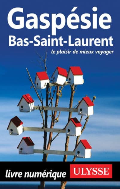 Gaspésie, Bas-Saint-Laurent by Ouvrage Collectif