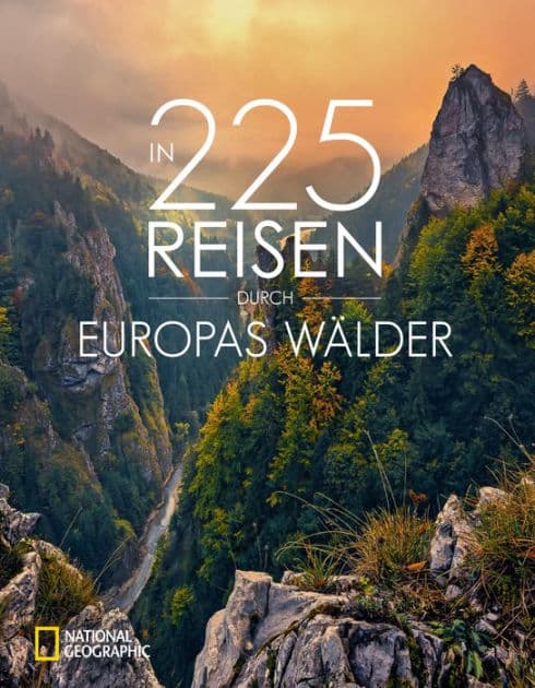 In 225 Reisen durch Europas Wälder by Jörg Berghoff