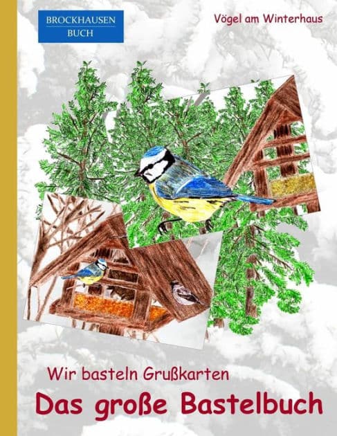 BROCKHAUSEN: Wir basteln Grusskarten - Das grosse Bastelbuch: Vögel am Winterhaus by Dortje Golldack