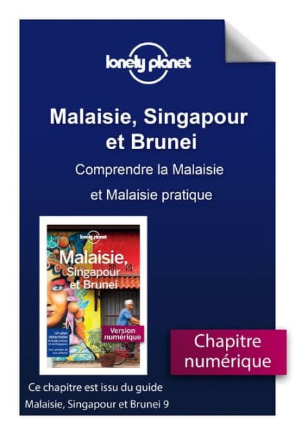 Malaisie, Singapour et Brunei - Comprendre la Malaisie et Malaisie pratique by Lonely planet eng