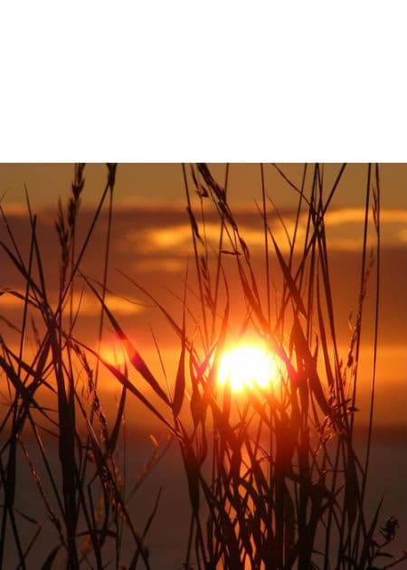 Tolle Wandertipps im Harz by Sonja Moritz