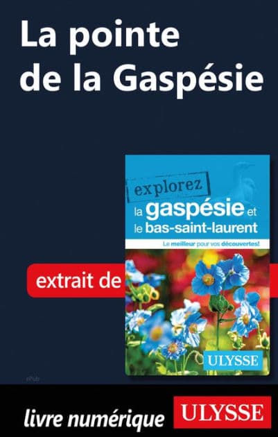 La pointe de la Gaspésie by Ouvrage Collectif