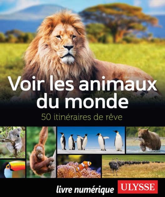 Voir les animaux du monde - 50 itinéraires de rêve by Ariane Arpin-Delorme