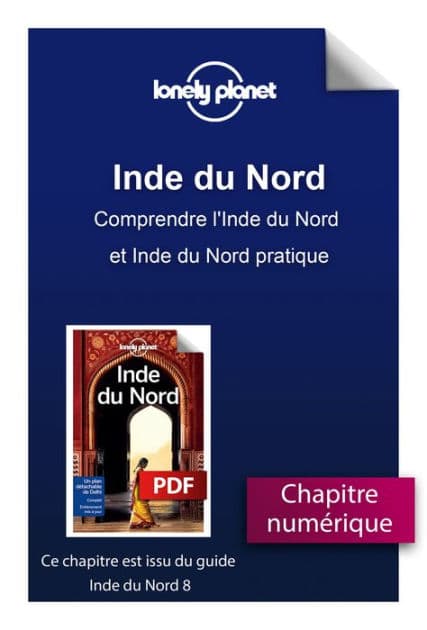 Inde du Nord 8ed - Comprendre l'Inde du Nord et Inde du Nord pratique by Lonely planet fr