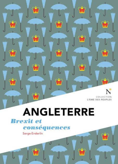Angleterre : Brexit et conséquences: L'Âme des Peuples by Serge Enderlin