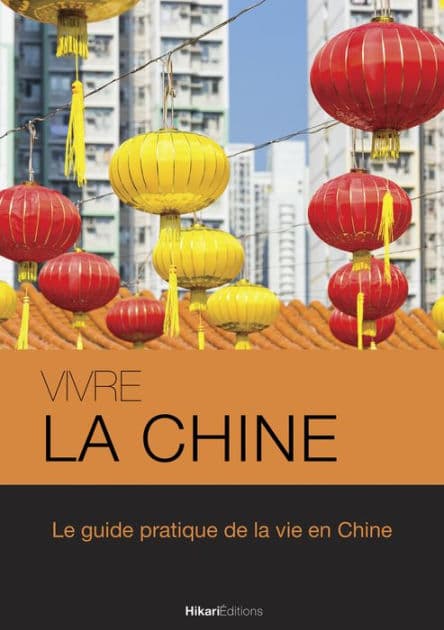 Vivre la Chine: Le guide pratique de la vie en Chine by Morgane Delaisse
