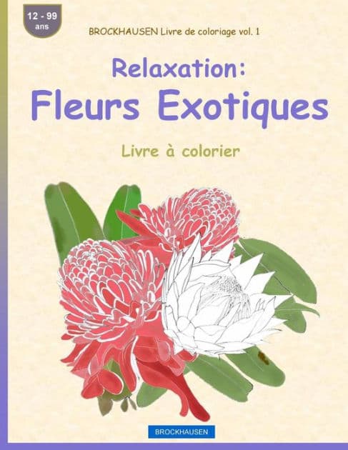 BROCKHAUSEN Livre de coloriage vol. 1 - Relaxation: Fleurs Exotiques: Livre à colorier by Dortje Golldack