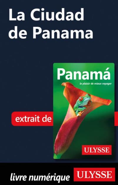 La Ciudad de Panama by Marc Rigole