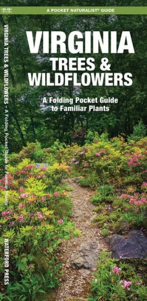 Virginia Trees & Wildflowers: A Folding Pocket Guide to Familiar Plants by James Kavanagh Waterford Press