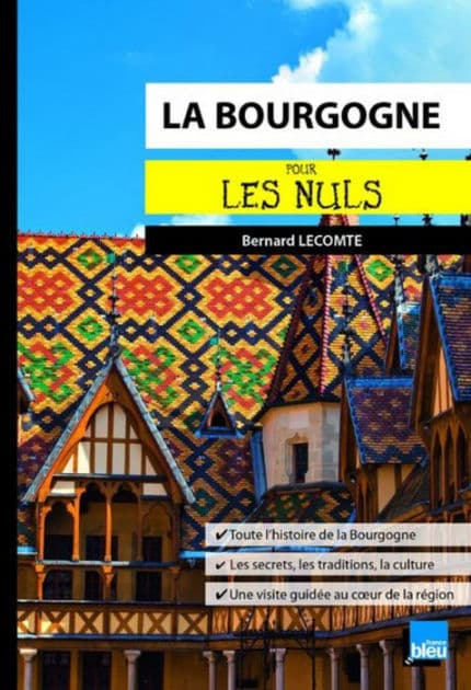 La Bourgogne pour les Nuls poche by Bernard Lecomte