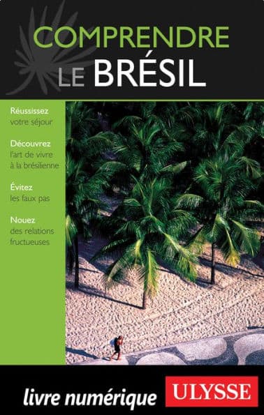 Comprendre le Brésil by Natasha Prévost