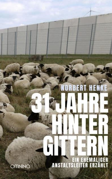 31 Jahre hinter Gittern: Ein ehemaliger Anstaltsleiter erzählt by Norbert Henke