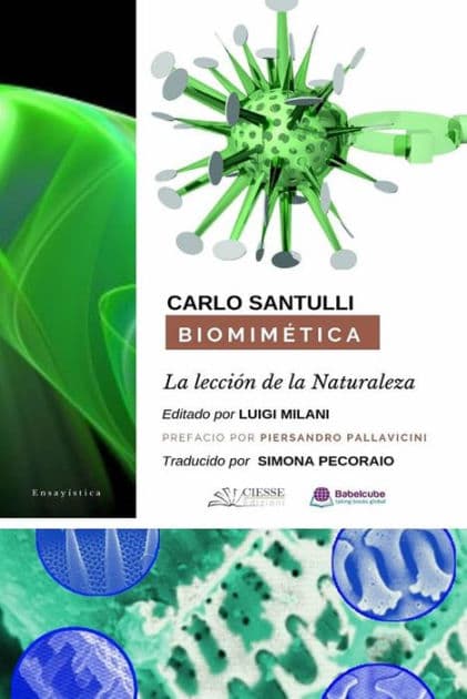 Biomimética: La Lección De La Naturaleza: Ecosostenibilidad, Diseño Y Ciclos Productivos En El Tercer Milenio by Carlo Santulli