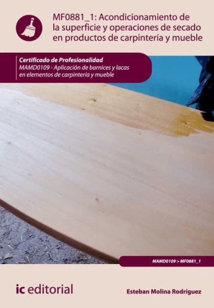 Acondicionamiento de la superficie y operaciones de secado en productos de carpintería y mueble. MAMD0109 by Esteban Molina Rodríguez