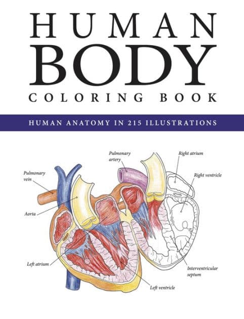 The Human Body Coloring Book by Peter Abrahams