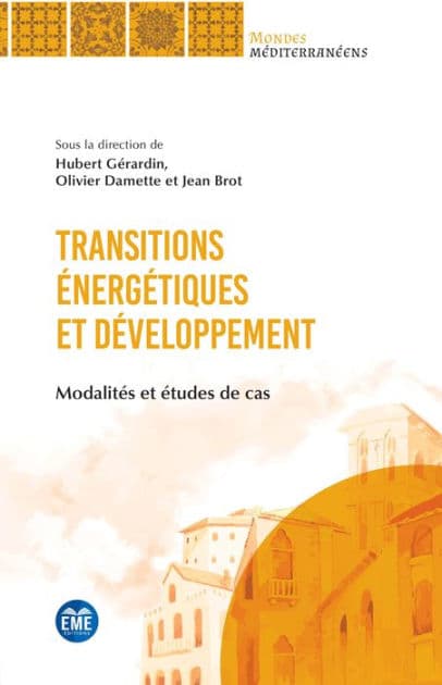 Transitions énergétiques et développement: Modalités et études de cas by Hubert Gerardin