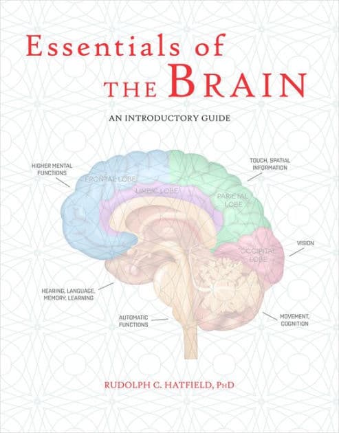 Essentials of the Brain: An Introductory Guide by Rudolph C. Hatfield