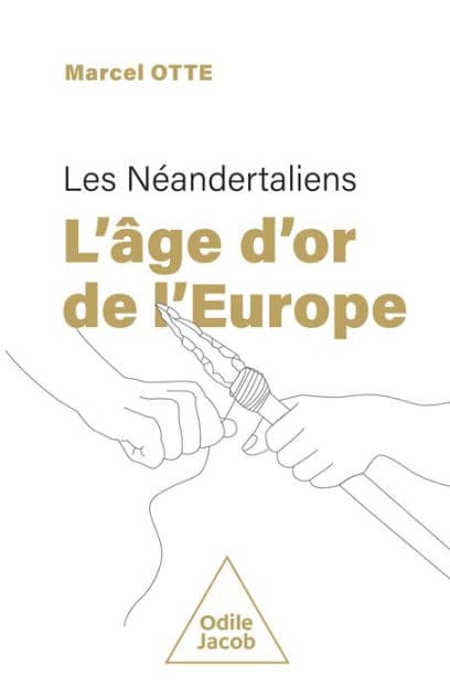 Les Néandertaliens : l'âge d'or de l'Europe by Marcel Otte