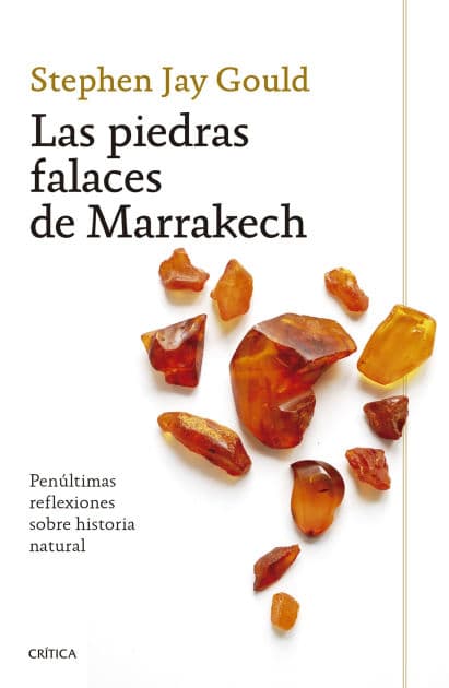 Las piedras falaces de Marrakech : Penúltimas reflexiones sobre historia natural / The Lying Stones of Marrakech by Stephen Gould