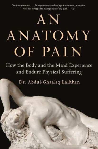 An Anatomy of Pain: How the Body and the Mind Experience and Endure Physical Suffering by Abdul-Ghaaliq Lalkhen