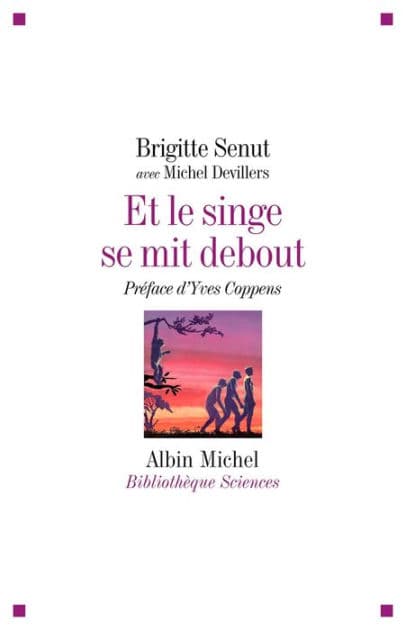 Et le singe se mit debout...: Aventures africaines d'une paléontologue by Brigitte Senut