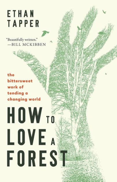 How to Love a Forest: The Bittersweet Work of Tending a Changing World by Ethan Tapper