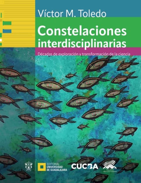 Constelaciones interdisciplinarias: Décadas de exploración y transformación de la ciencia by Víctor Manuel Toledo Manzur