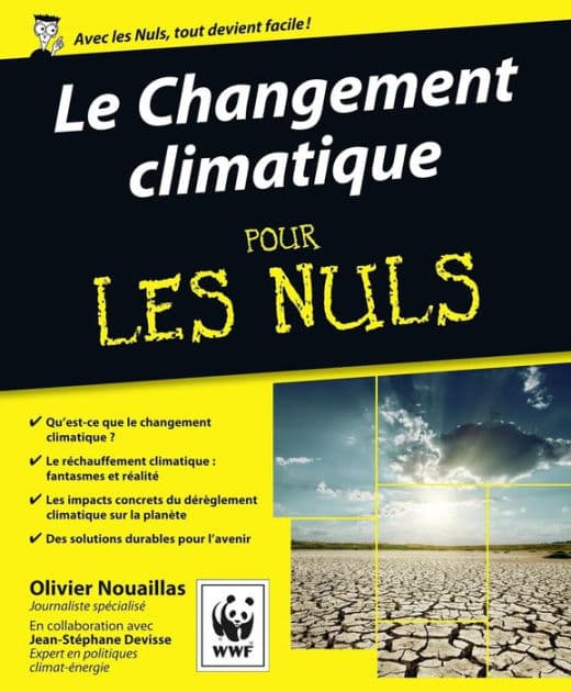 Le Changement climatique Pour les Nuls by Olivier Nouaillas
