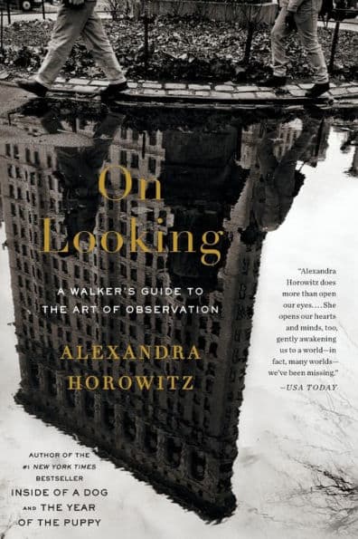 On Looking: A Walker's Guide to the Art of Observation by Alexandra Horowitz