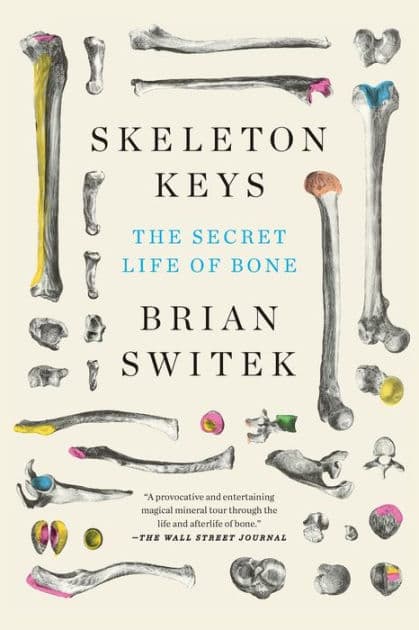 Skeleton Keys: The Secret Life of Bone by Brian Switek
