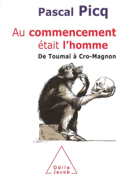 Au commencement était l'homme: De Toumaï à Cro-Magnon by Pascal Picq