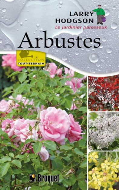 Arbustes by Larry Hodgson